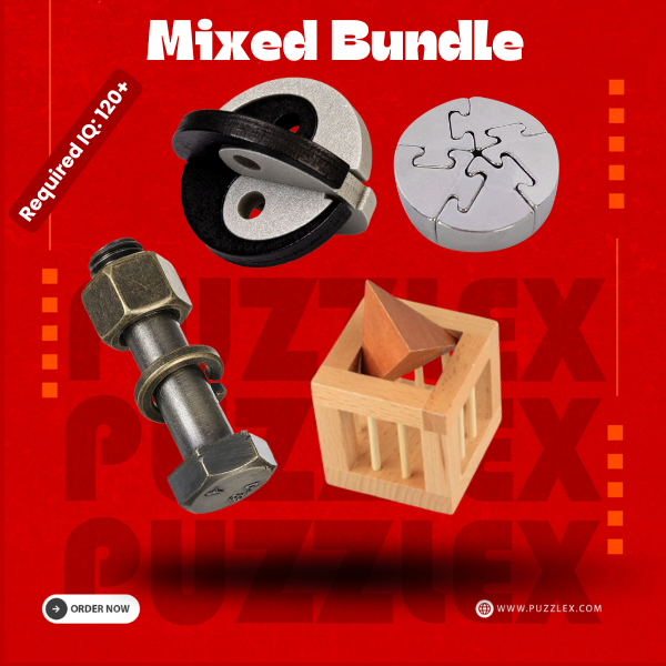 4 Puzzles | Mixed Puzzle Bundle