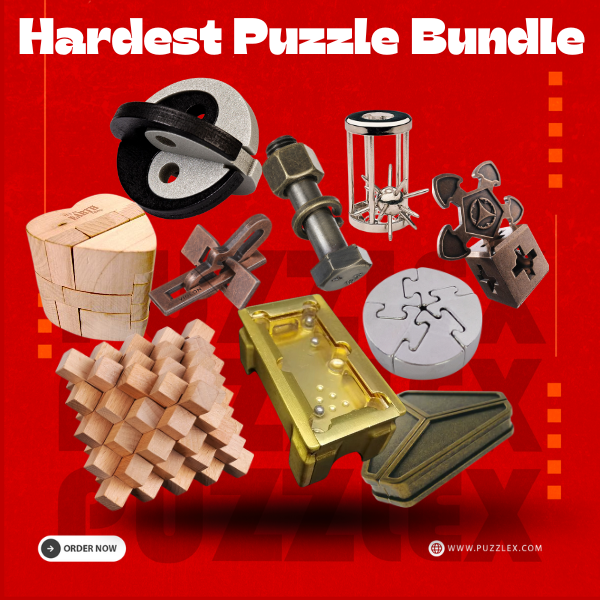 10 Puzzles | Hardest Puzzle Bundle